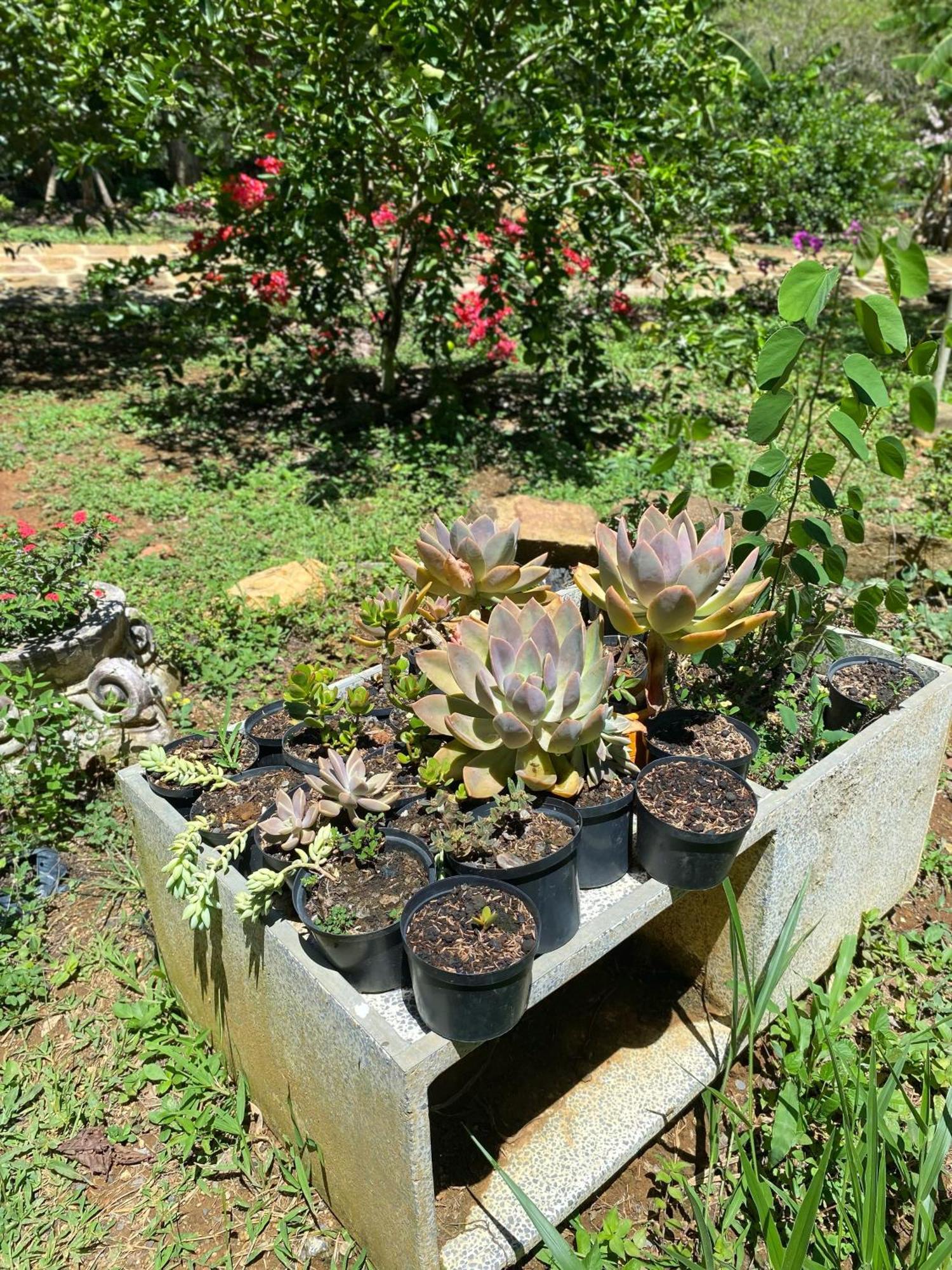 Hostal Villa San Rafael Barichara Esterno foto