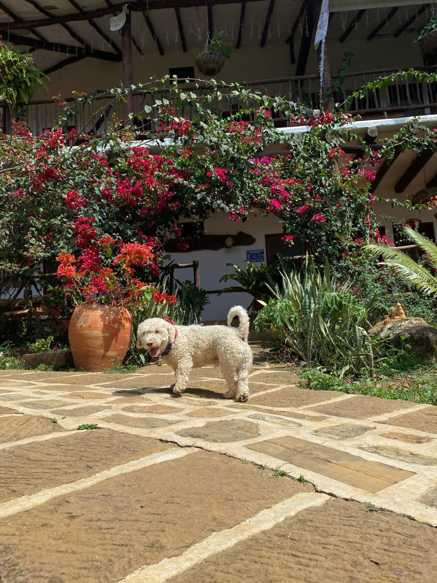 Hostal Villa San Rafael Barichara Esterno foto